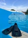 Schwimmflossen Aqua Sphere Microfin HP Blue/Black