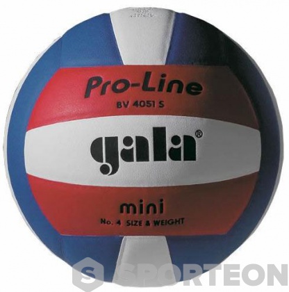 Volleyball Gala Pro-Line Mini BV 4051 S