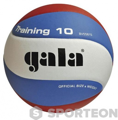 Volleyball Gala Training 10 BV 5561 S