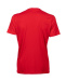Arena Team T-Shirt Solid Red