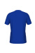 Arena Team T-Shirt Solid Royal