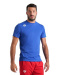 Arena Team T-Shirt Solid Royal